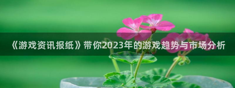 高德娱乐登陆测速：《游戏资讯报纸》带你2023年的游戏趋势与