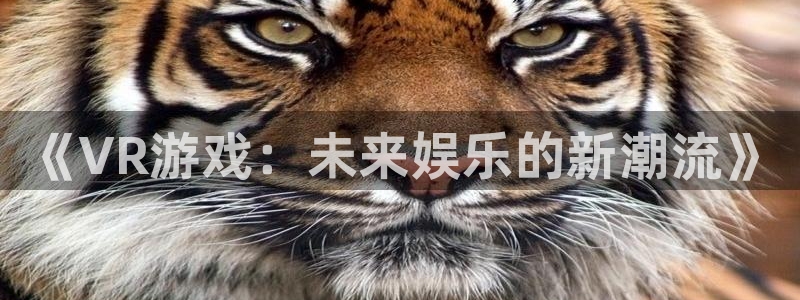 高德娱乐登陆测速：《VR游戏：未来娱乐的新潮流》