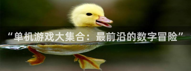 高德娱乐平台注册：“单机游戏大集合：最前沿的数字冒险”