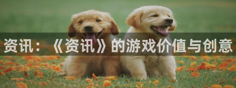 高德娱乐登录：资讯：《资讯》的游戏价值与创意