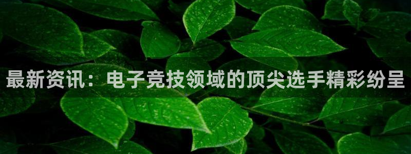 高德娱乐升级5994月：最新资讯：电子竞技领域的顶尖选手精彩
