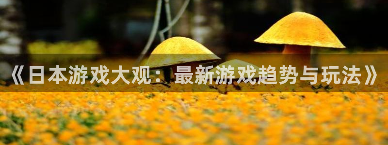 高德娱乐平台注册开户：《日本游戏大观：最新游戏趋势与玩法》