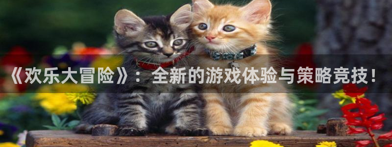 高德娱乐平台官方网站：《欢乐大冒险》：全新的游戏体验与策略竞