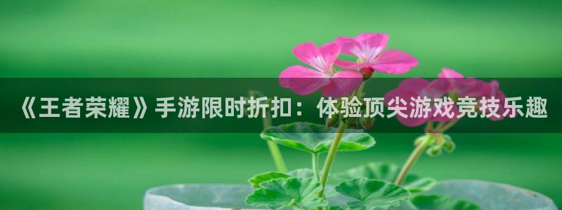高德娱乐登录网址：《王者荣耀》手游限时折扣：体验顶尖游戏竞技