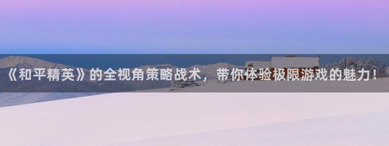高德娱乐平台官网入口：《和平精英》的全视角策略战术，带你体验