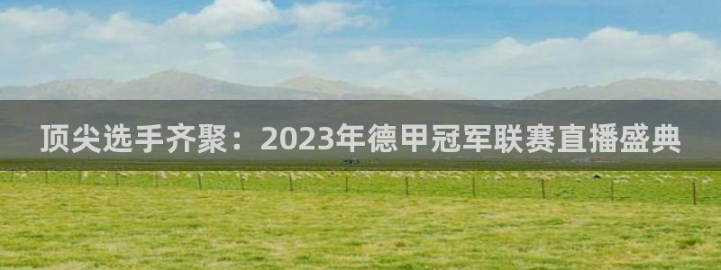 球友直播nba在线直播：顶尖选手齐聚：2023年德甲冠军联赛直播盛典