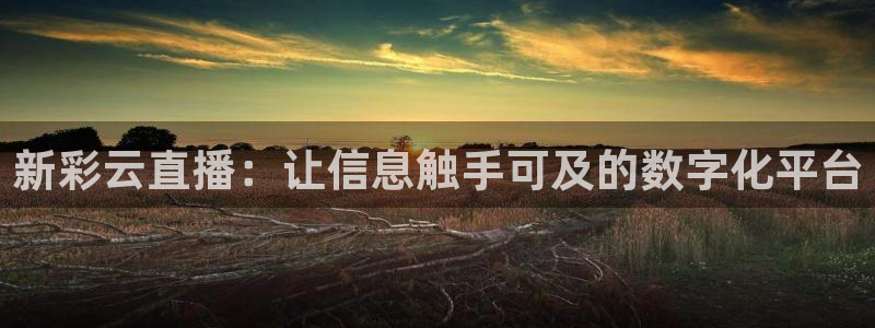 球友体育直播在线观看：新彩云直播：让信息触手可及的数字化平台