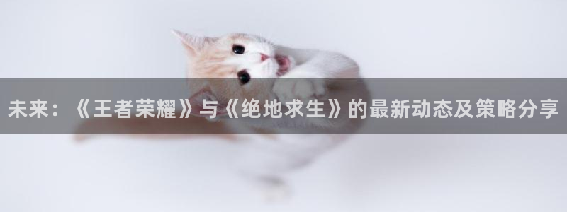 高德娱乐平台141 581