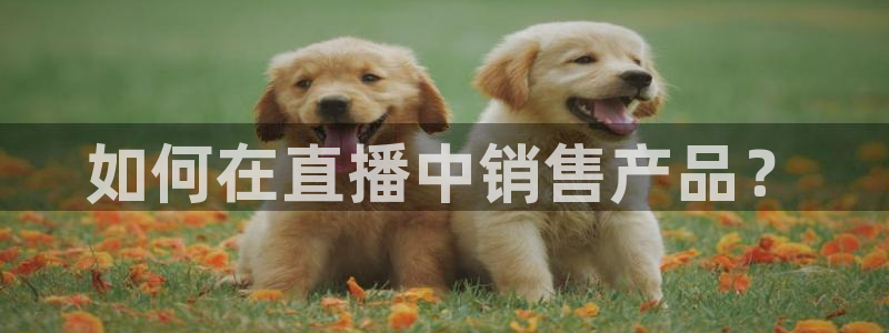 nba直播球友：如何在直播中销售产品？