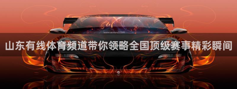 球友直播-足球篮球体育直播平台：山东有线体育频道带你领略全国顶级赛事精彩瞬间