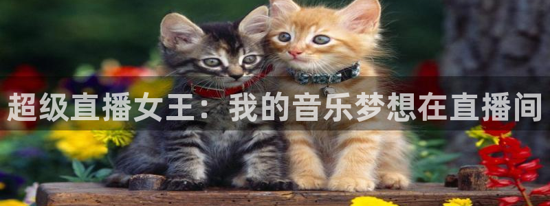 球友直播在线：超级直播女王：我的音乐梦想在直播间