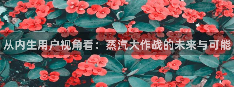 球友体育下载：从内生用户视角看：蒸汽大作战的未来与可能