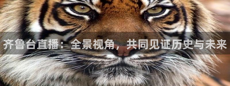 球友体育直播：齐鲁台直播：全景视角，共同见证历史与未来