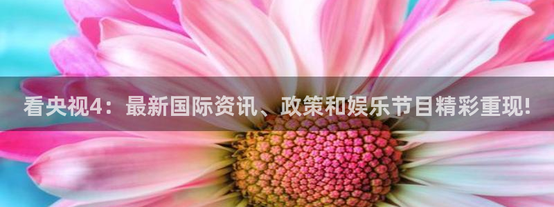 球友体育：看央视4：最新国际资讯、政策和娱乐节目精彩重现!