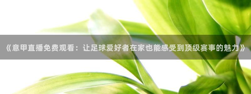 球友体育：《意甲直播免费观看：让足球爱好者在家也能感受到顶级赛事的魅力》