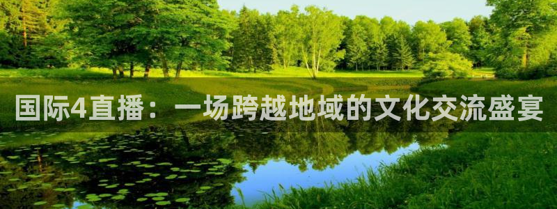 球友直播：国际4直播：一场跨越地域的文化交流盛宴